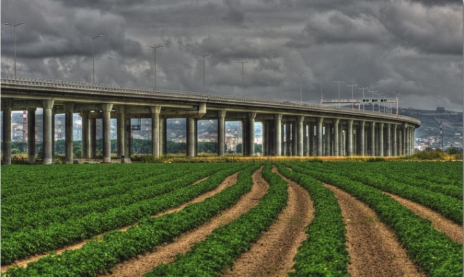 ponte lezíria 2